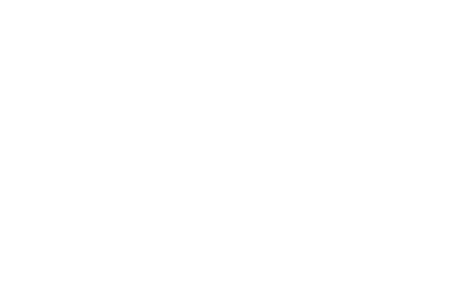 logo syem blanc